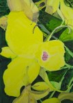 Cattleya skinneri,140x100 cm, 2010