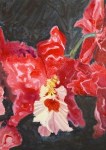 Oncidium tigrinum100x140cm, 2010
